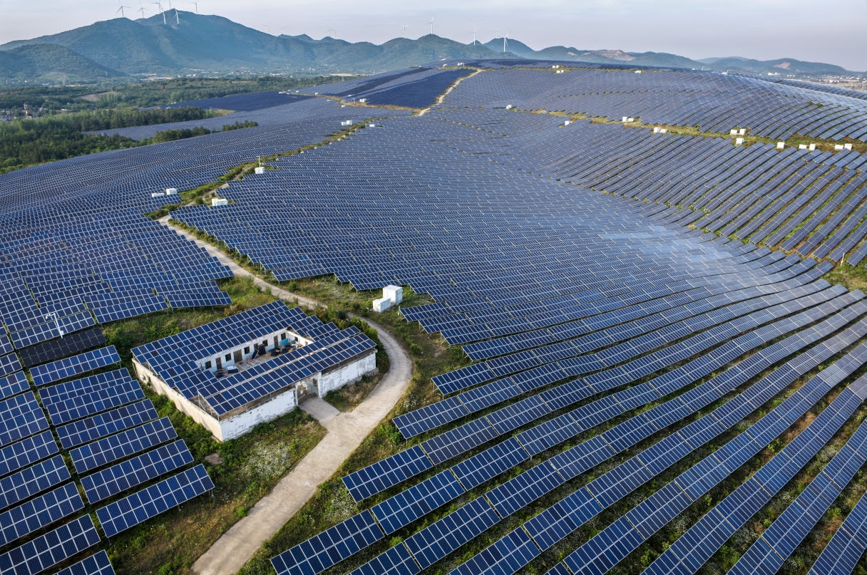 dianeravitch.net - The Scientific Breakthrough of the Year!